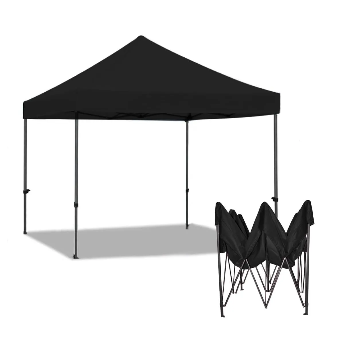 CARPAS