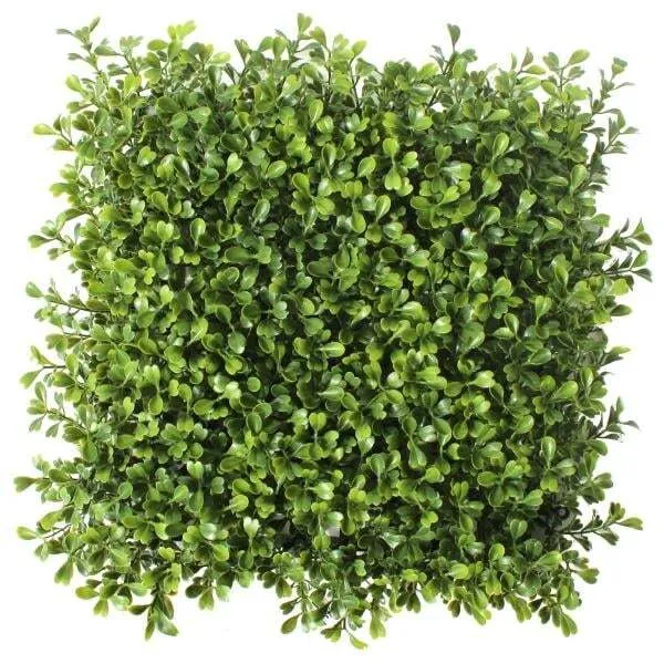 Boxwood Square