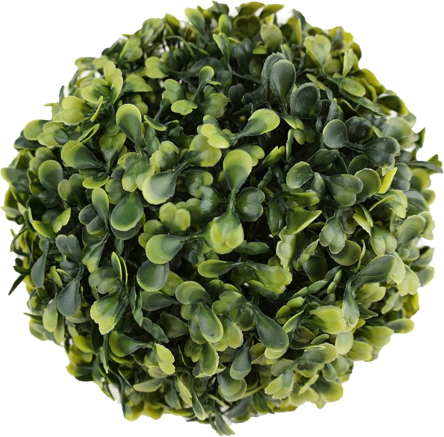 Boxwood Round