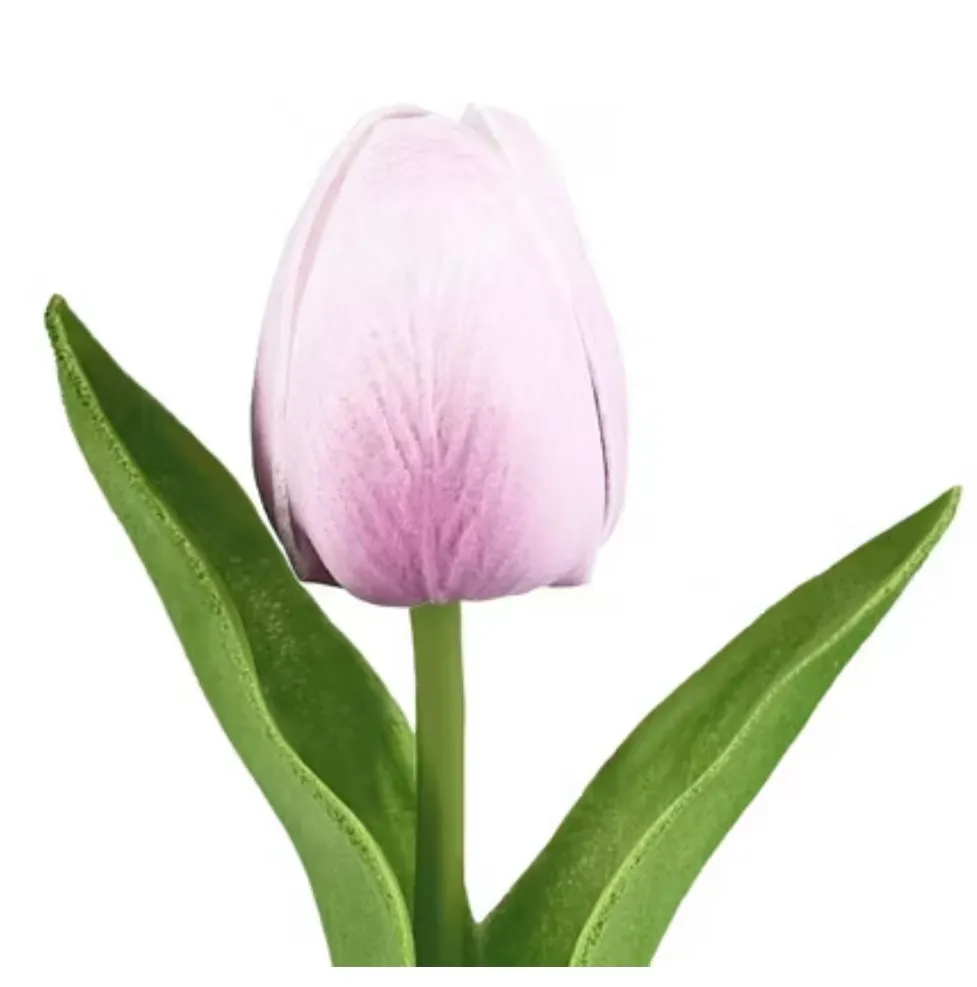 Purple Tulip Stem