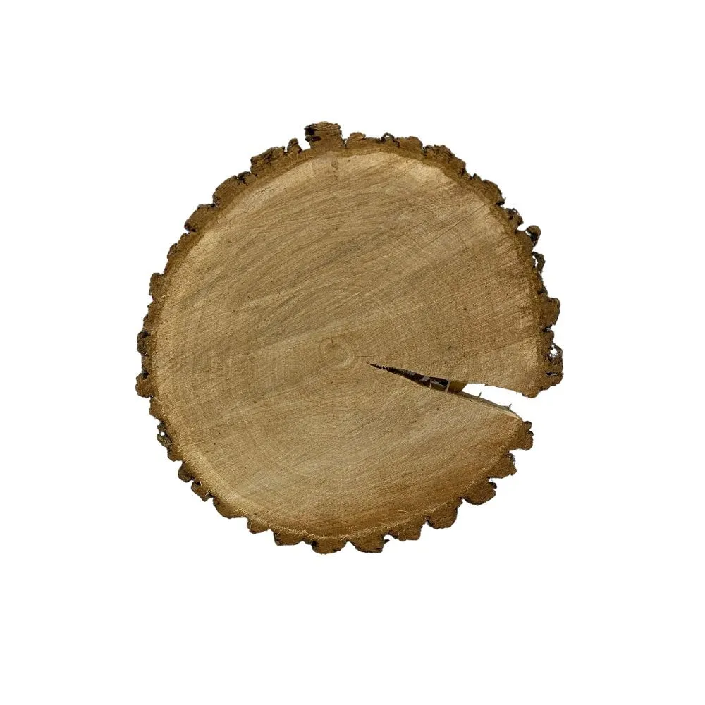 Tree/Wood Slices