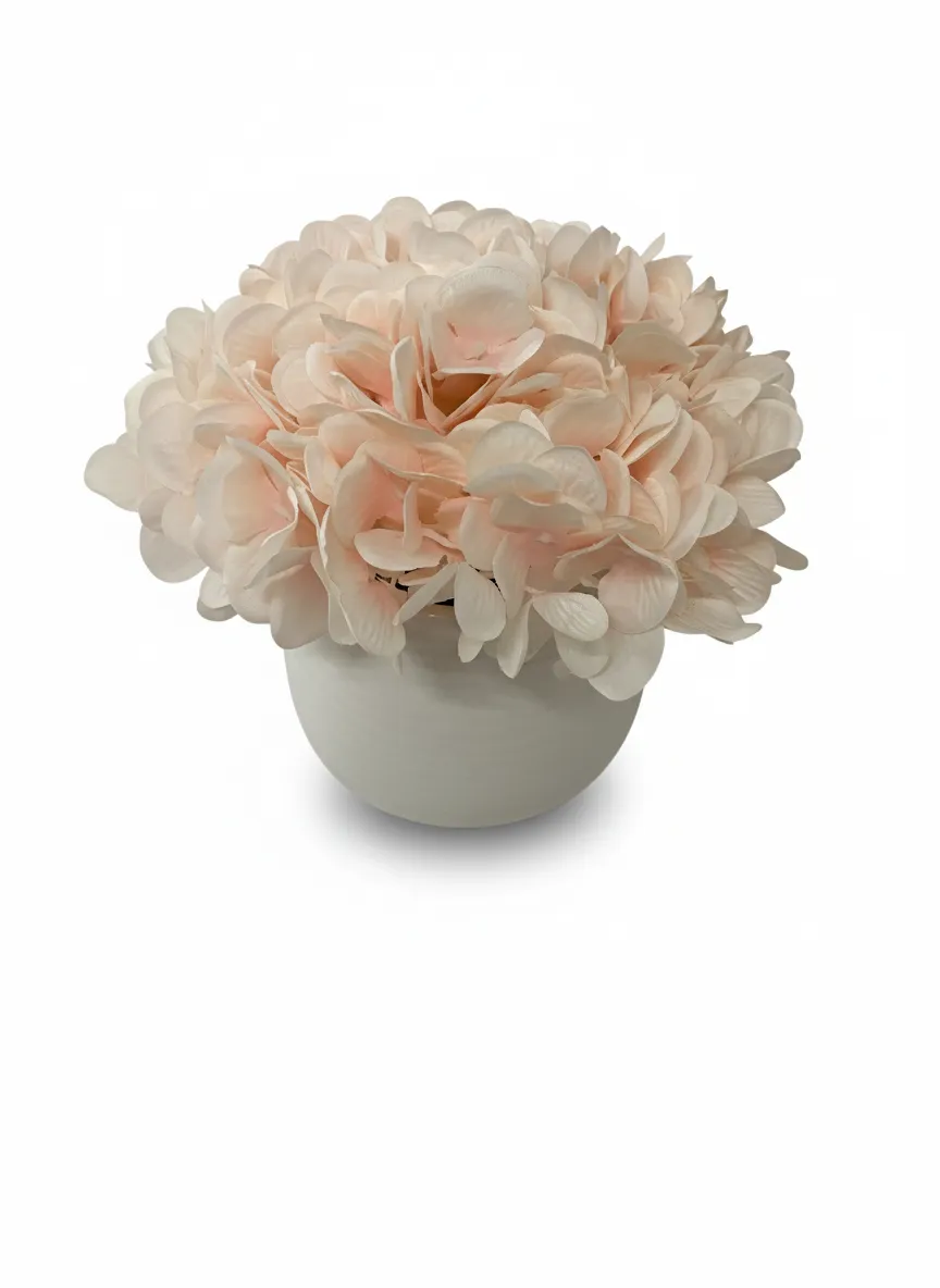 Pink Potted Hydrangeas