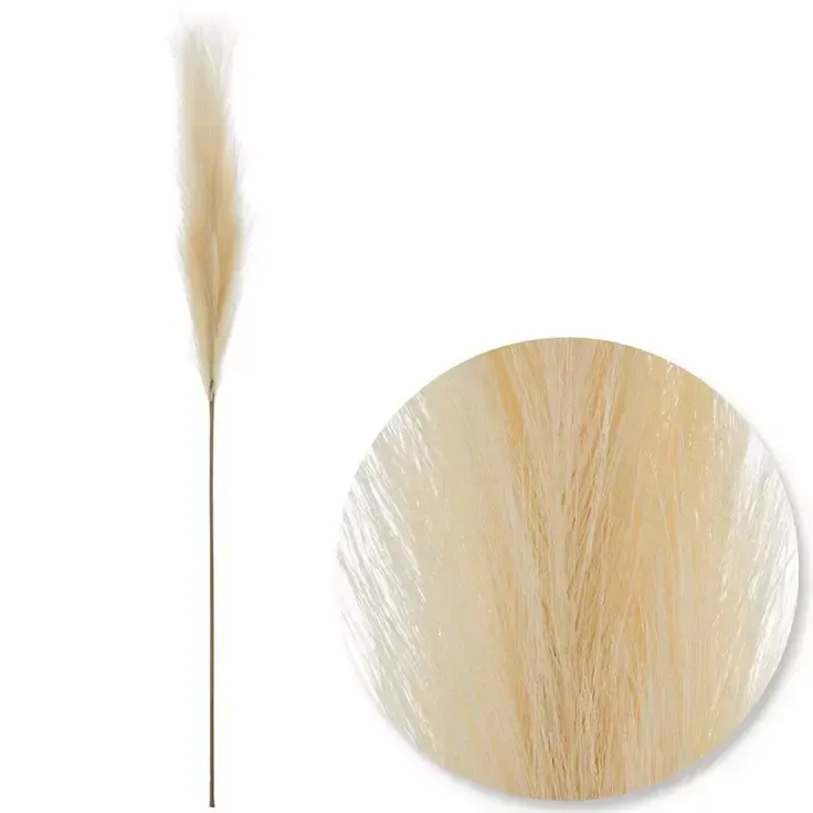 5' Pampas Grass Stem 
