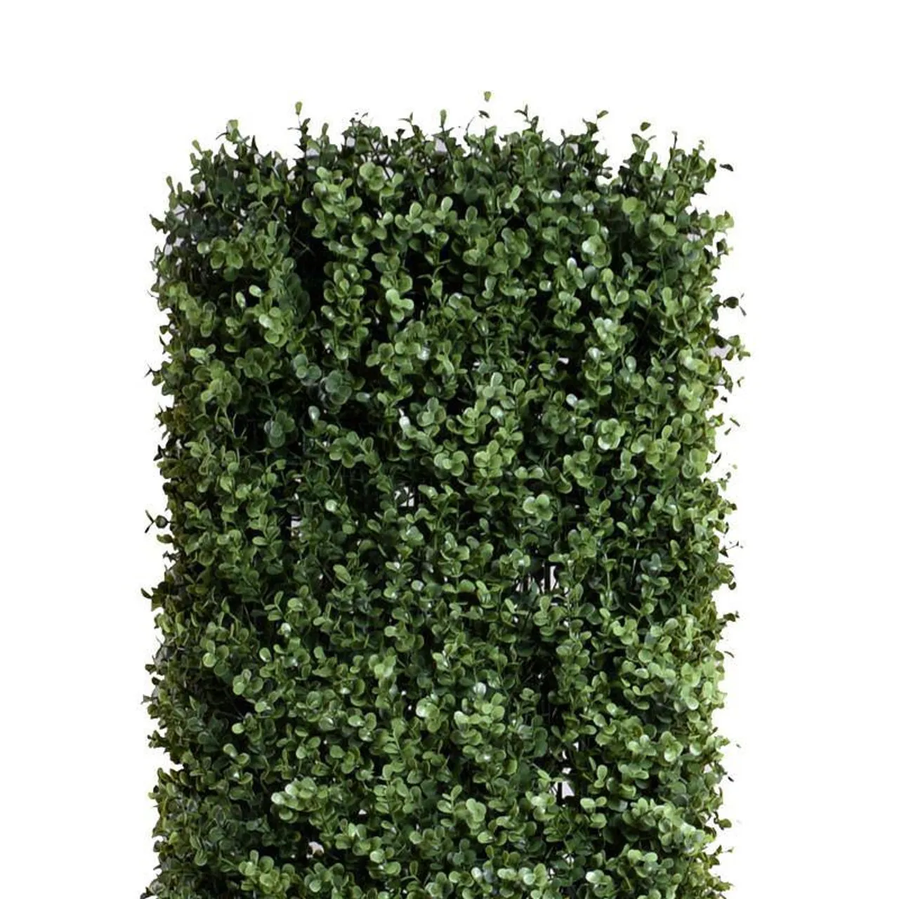 Boxwood Rectangular Column, Assorted Sizes