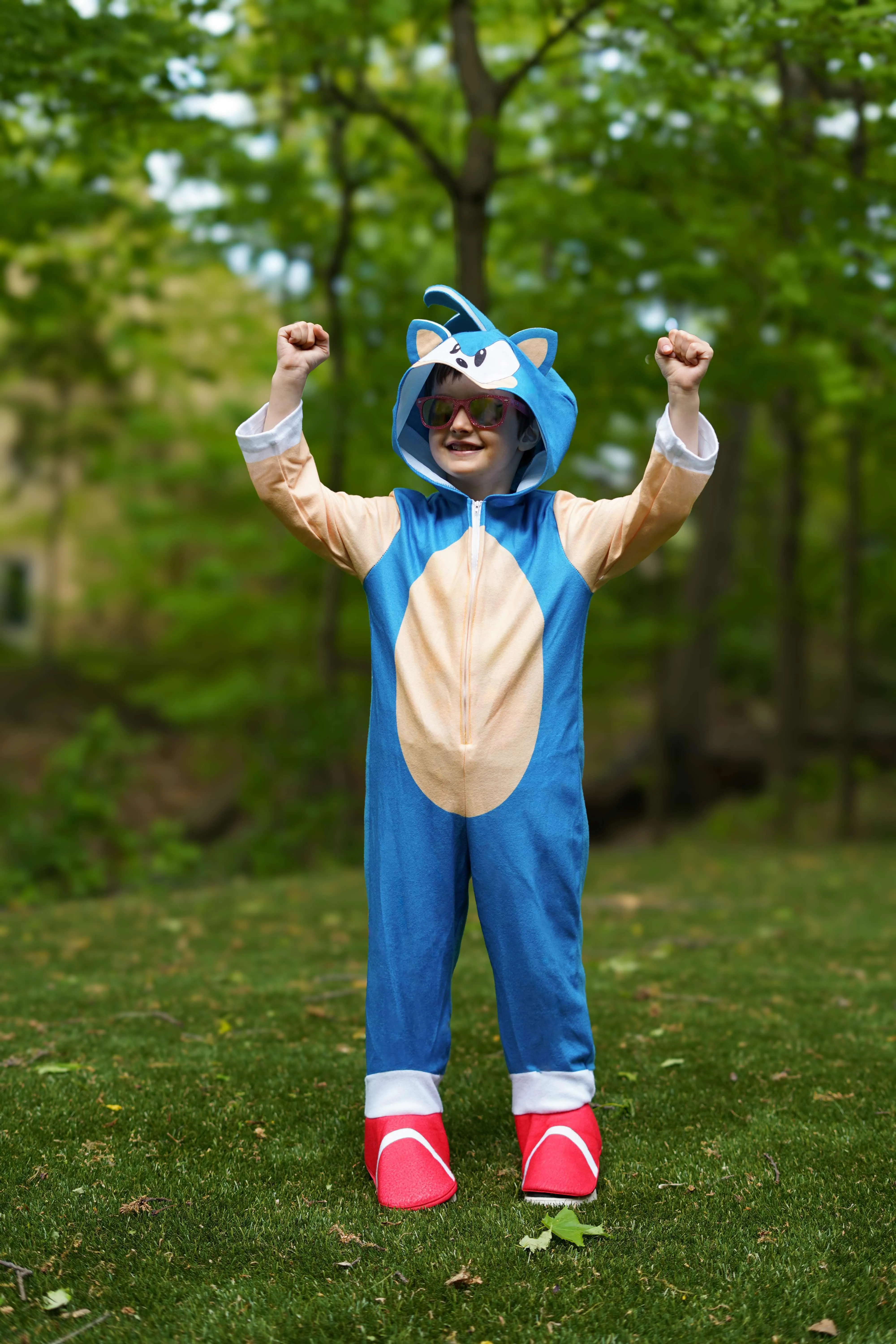 Sonic Speedster Adventure Suit