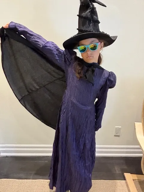  Deluxe Wicked Witch Dress