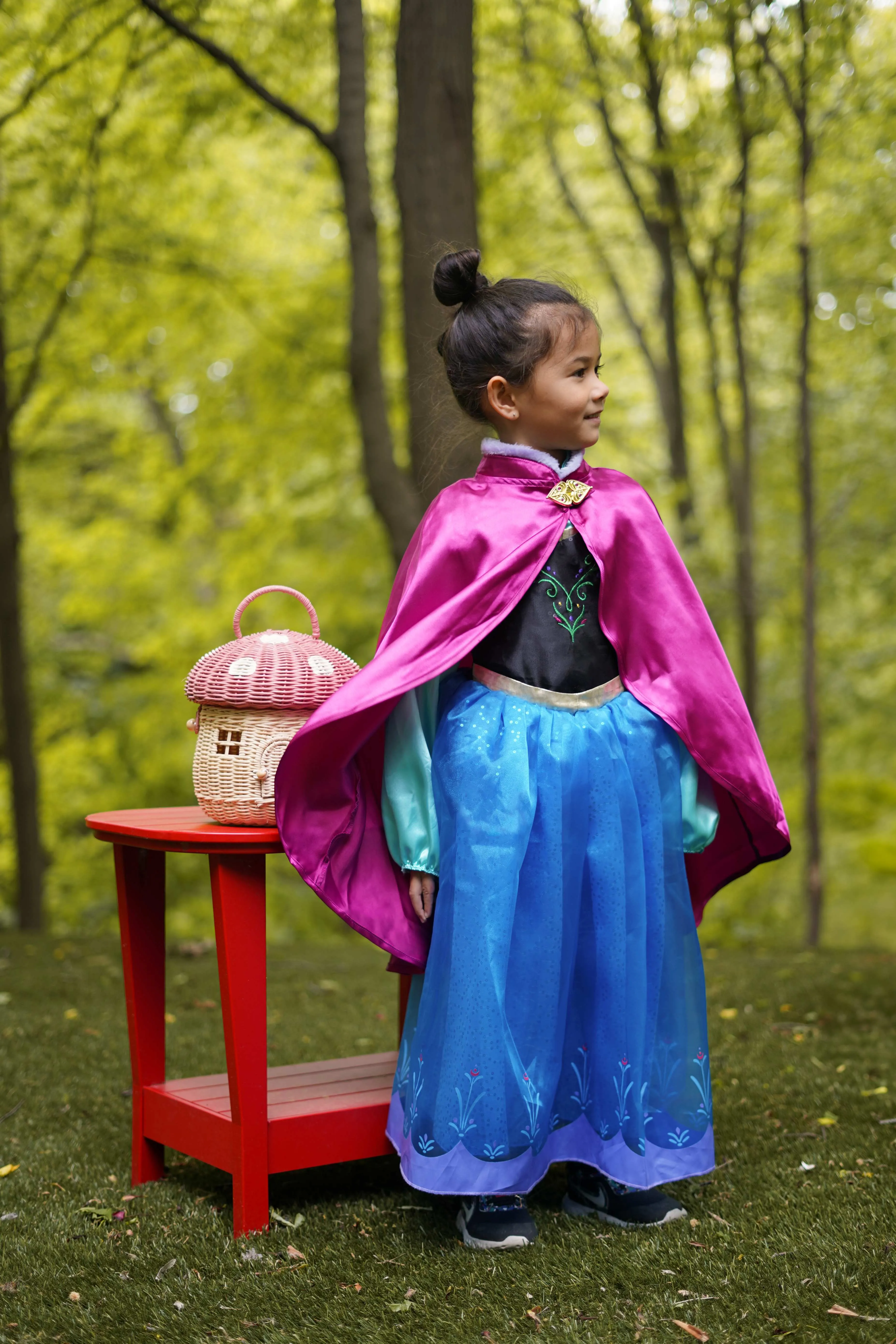 “Arendelle Adventure Anna Ensemble”