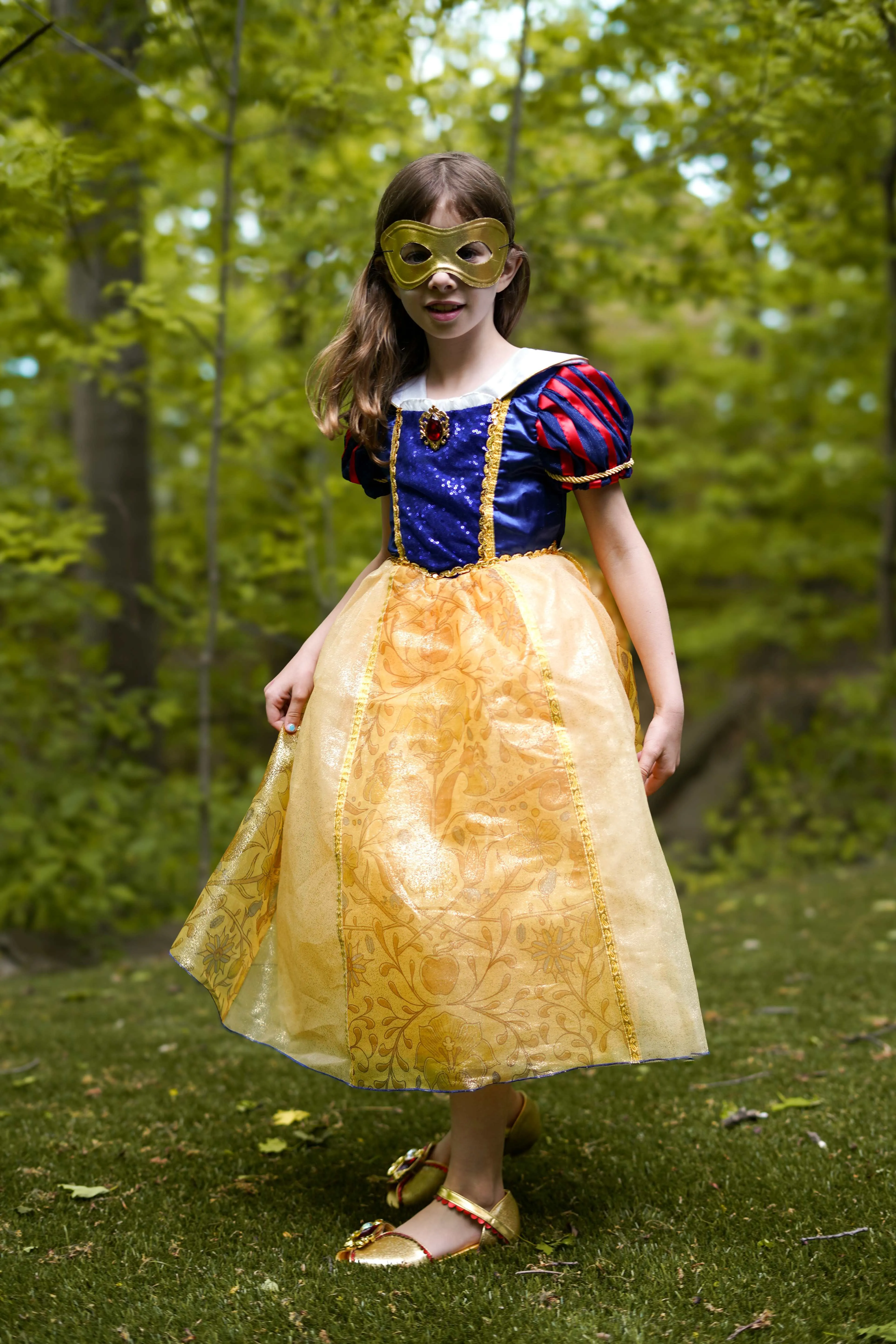 Enchanted Snow White Costume