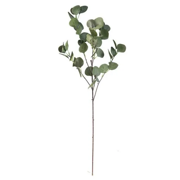 GREENERY: Eucalyptus stems 23" 