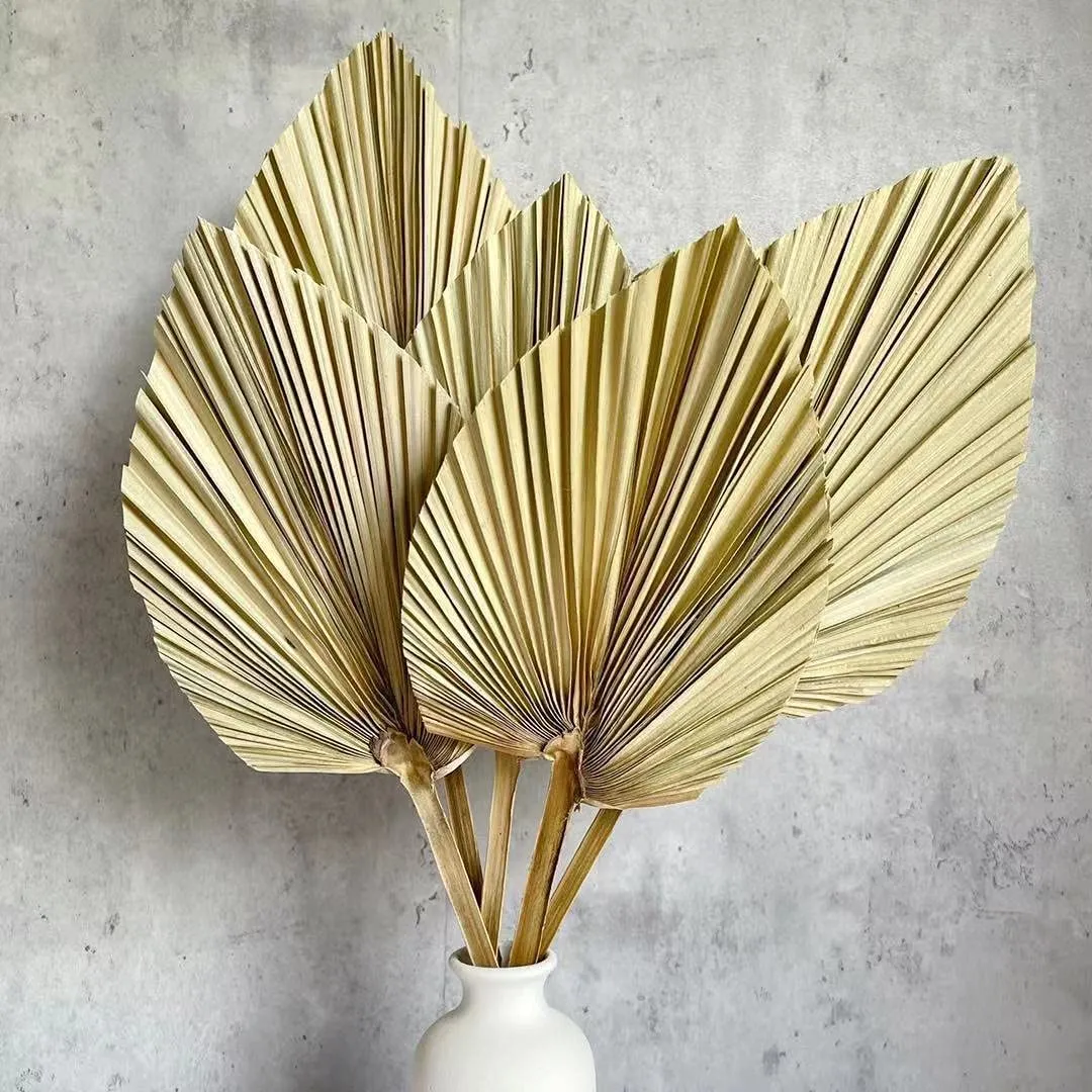 GREENERY: 18"+16" dried palm leaves set of 15 {boho collection ONLY}