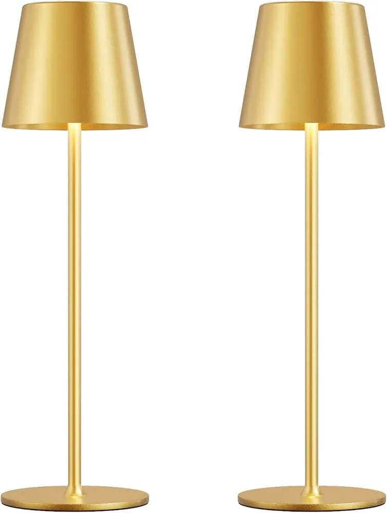 TABLESCAPES: 15" LED rechargeable lamp lights
