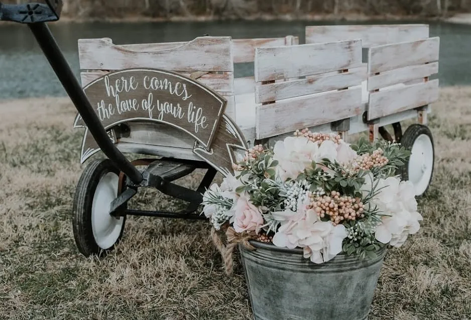 WAGON: for flower girl or ring bearers, infants, pets. Choose.