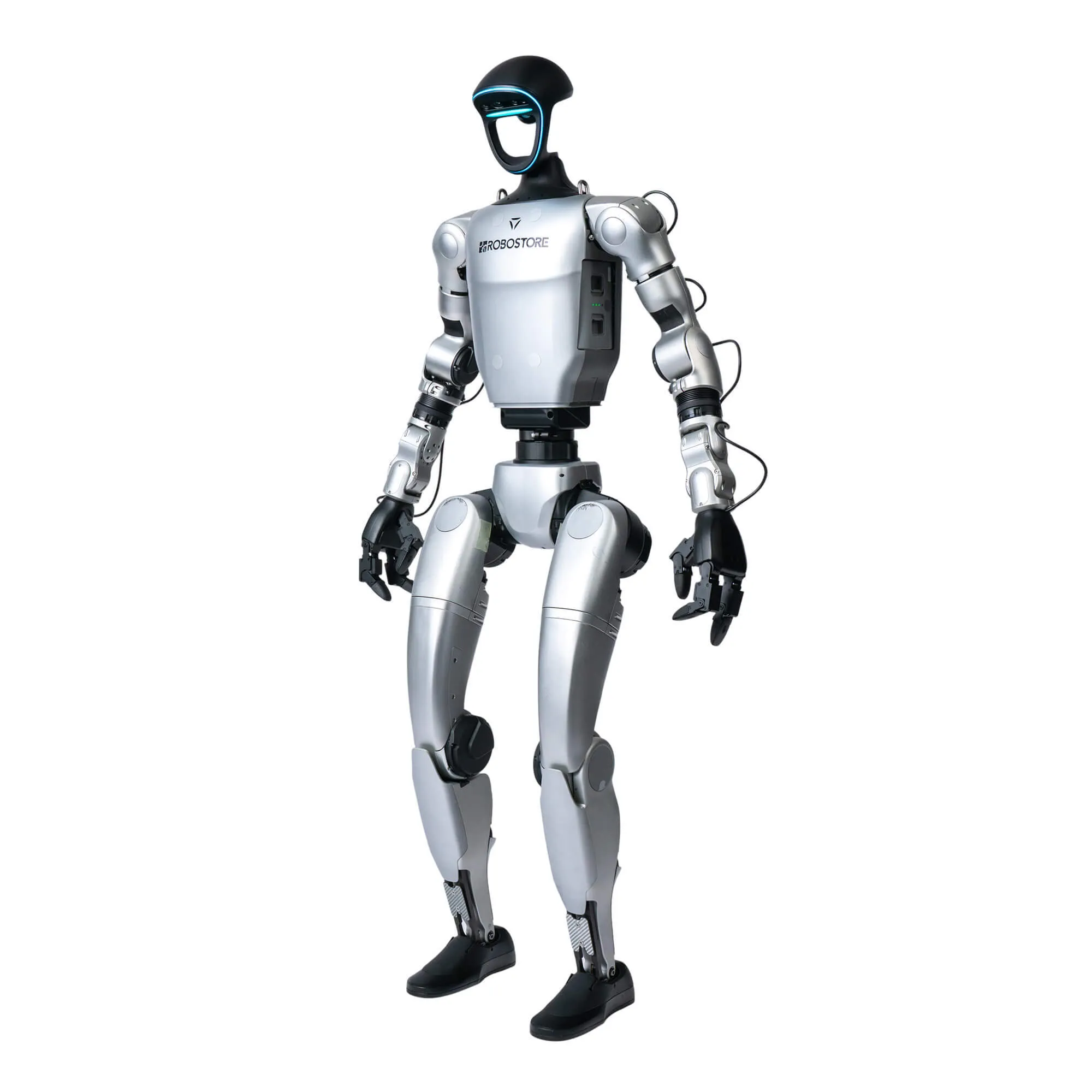 Humanoid Rental