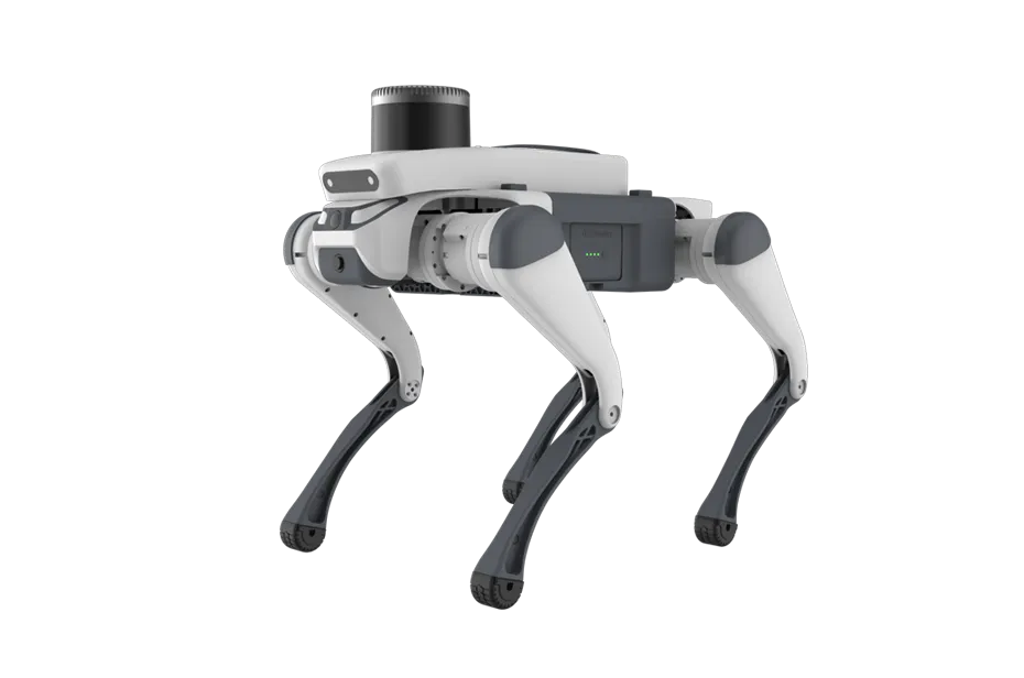 Robot Dog Rental
