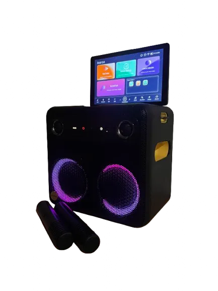 All-in-One Karaoke Party Speaker with Screen and Wireless Mics