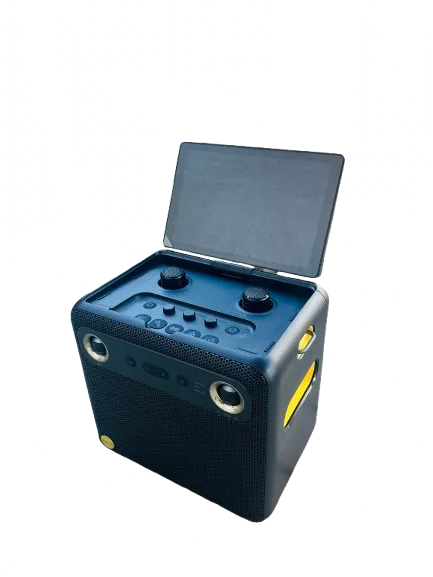 All-in-One Karaoke Party Speaker with Screen and Wireless Mics