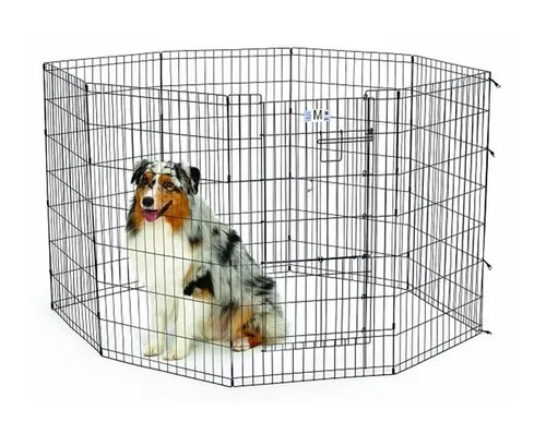 כלוב אילוף גדול - גדר גורים