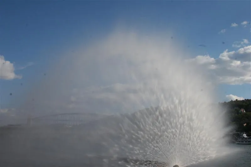 Outdoor Peacock Waterscreen