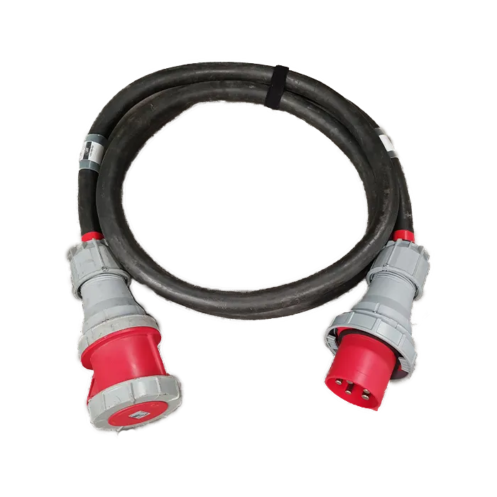 Rallonge Cable Souple (10m) - 125A - Tétraphasée CEE