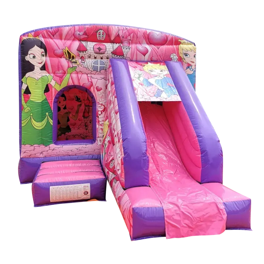 Disney Princess Slide