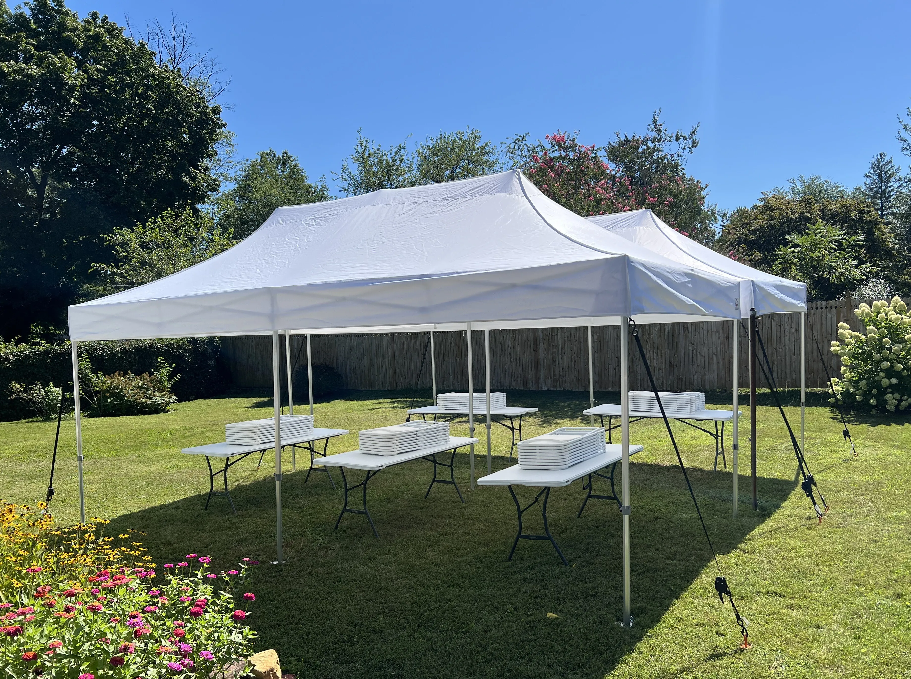 Pro Canopy Package