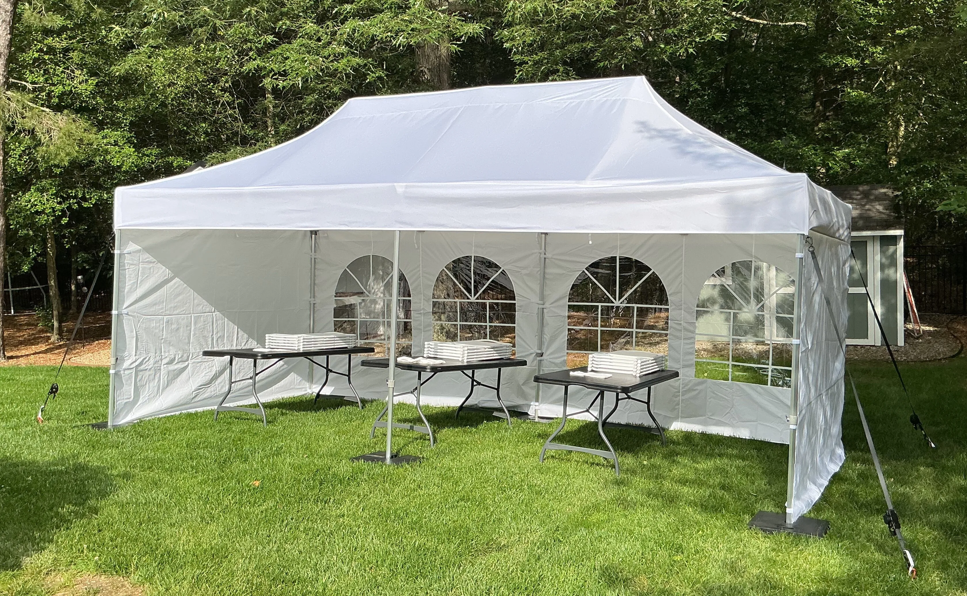 10x20 Pro Canopy Package