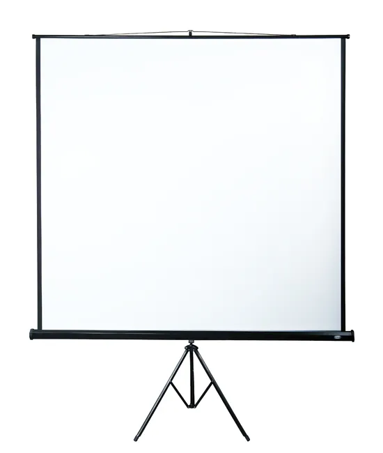 Beamer - Leinwand