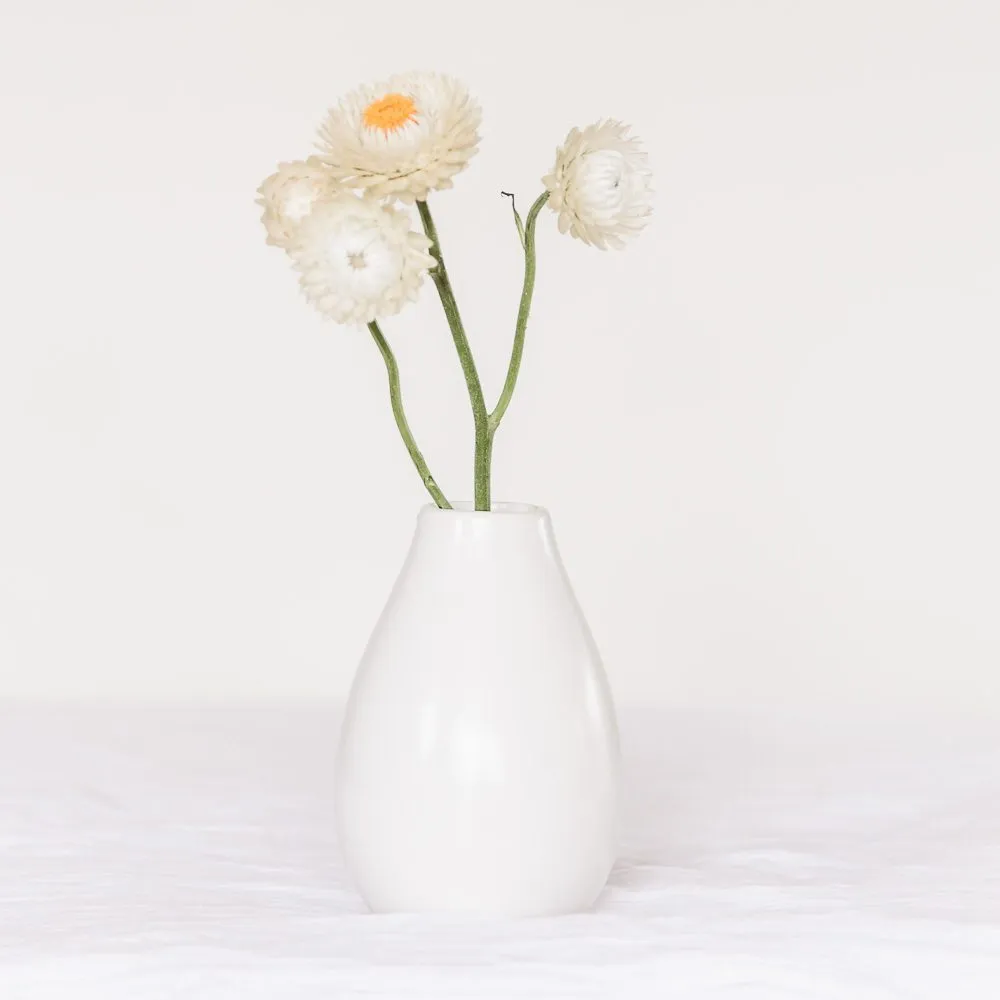 Vases & Vessels collection image