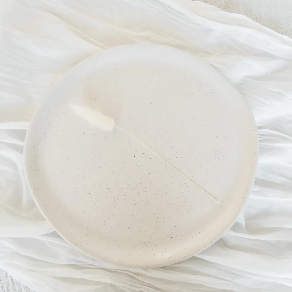 Irregular Dinner Plate