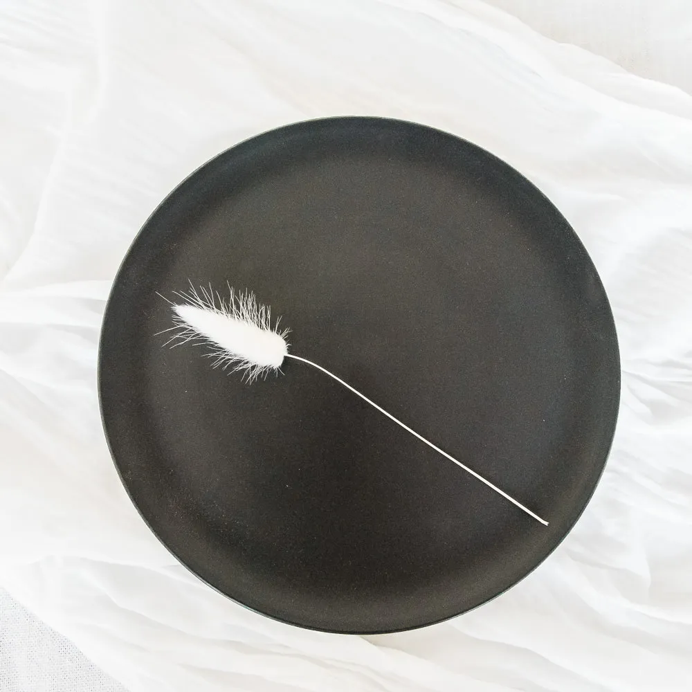 Black Dinner Plate