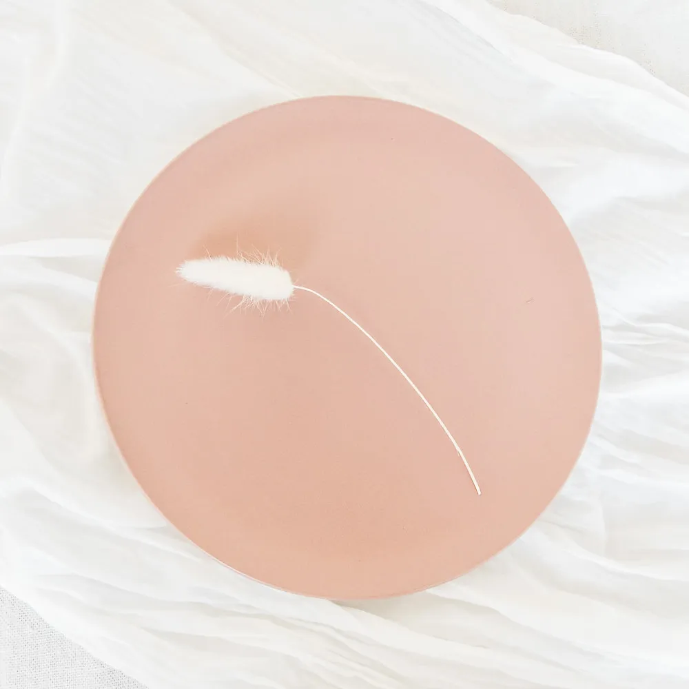 Dusty Pink Dinner Plate