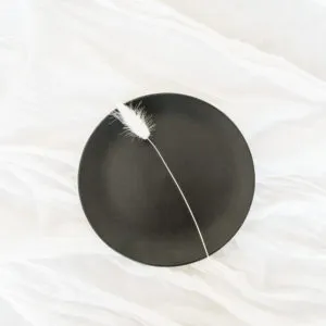 Black Entree Plate