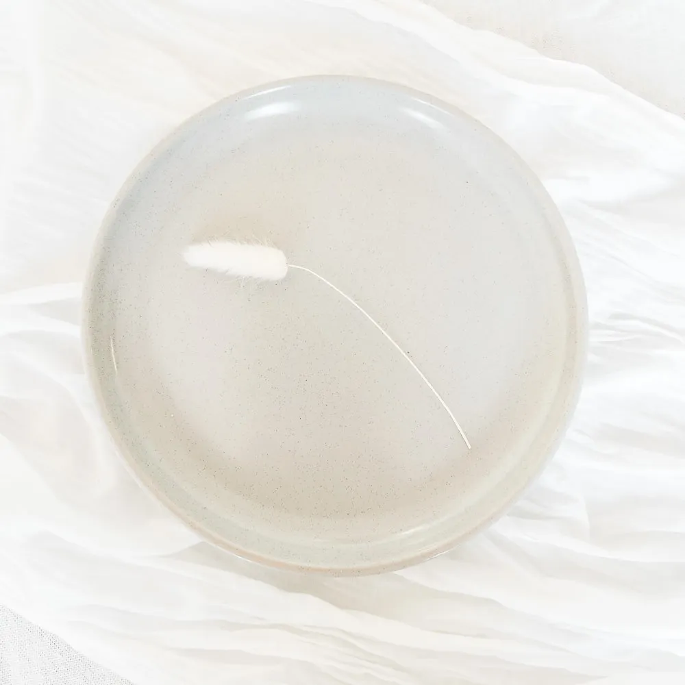 Speckled Dinner Plate