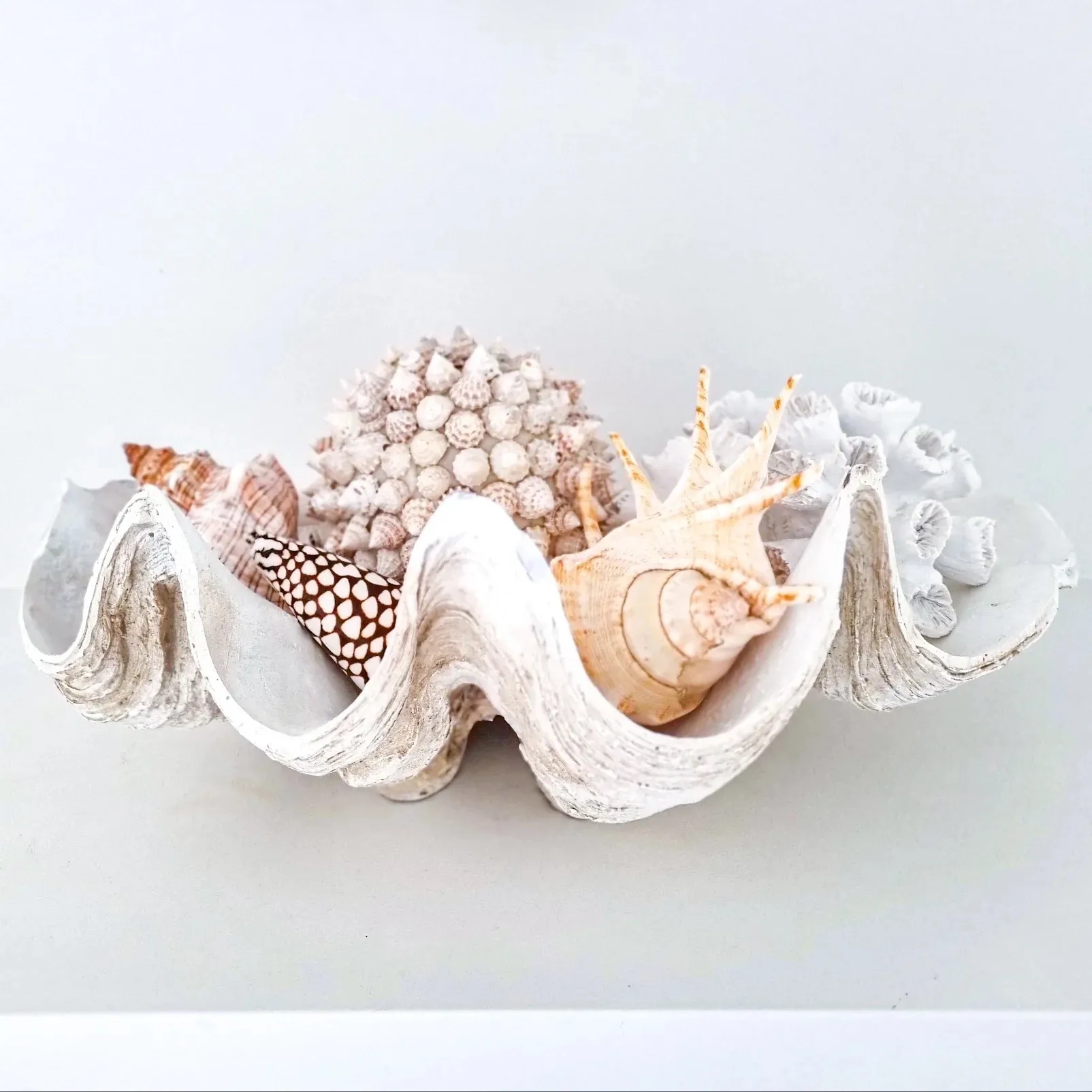 Faux Clam Shell