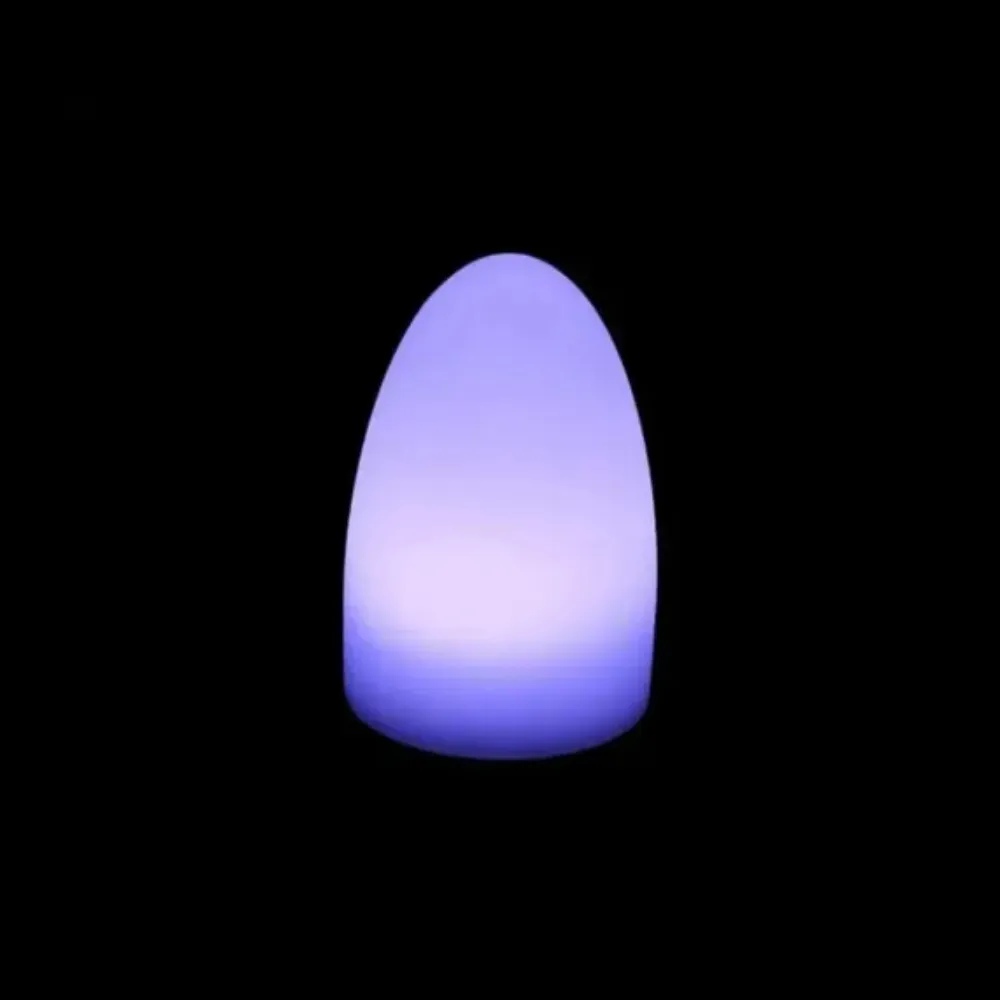 LES LED Egg
