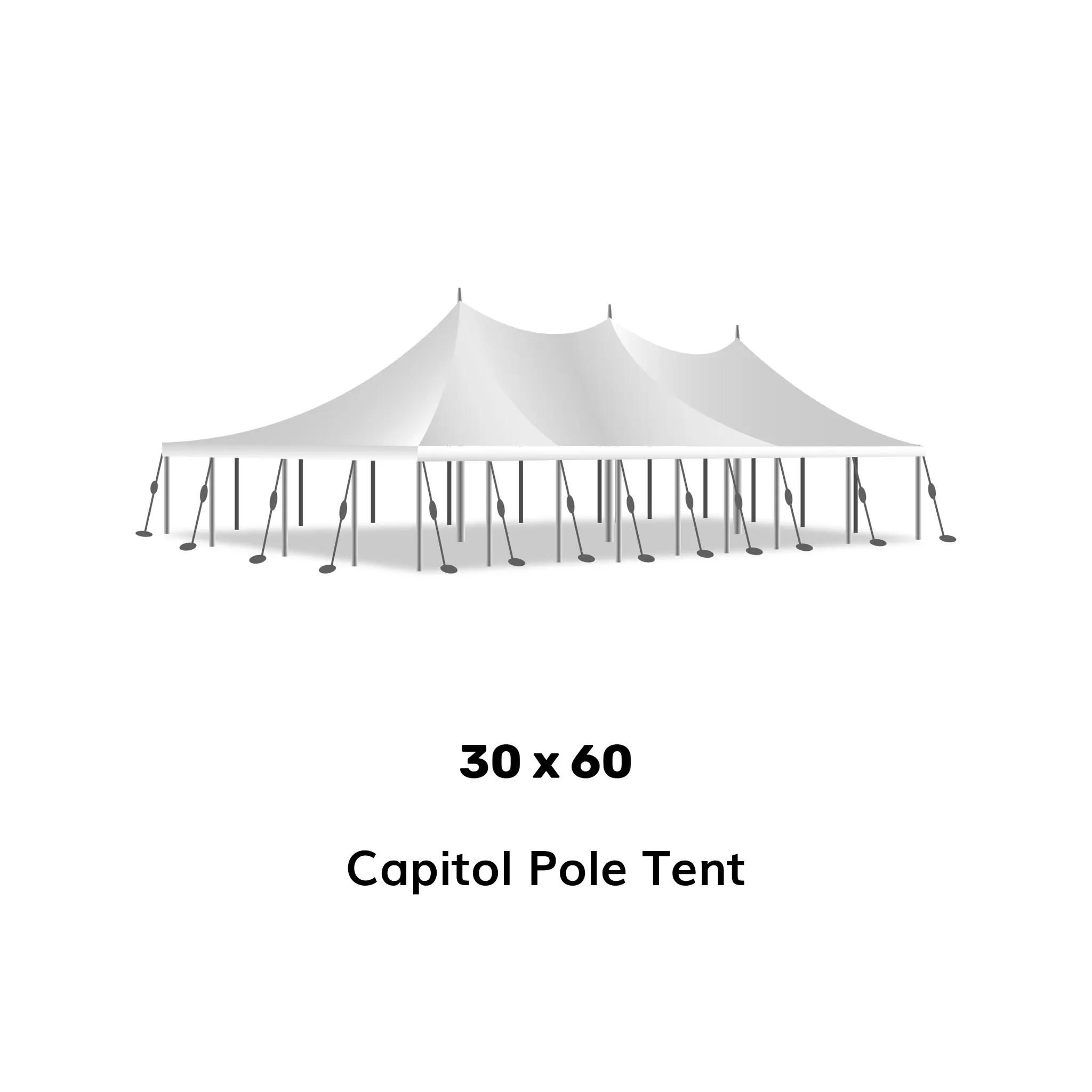 30' x 60' Pole Tent