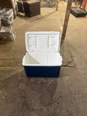Coleman Cooler
