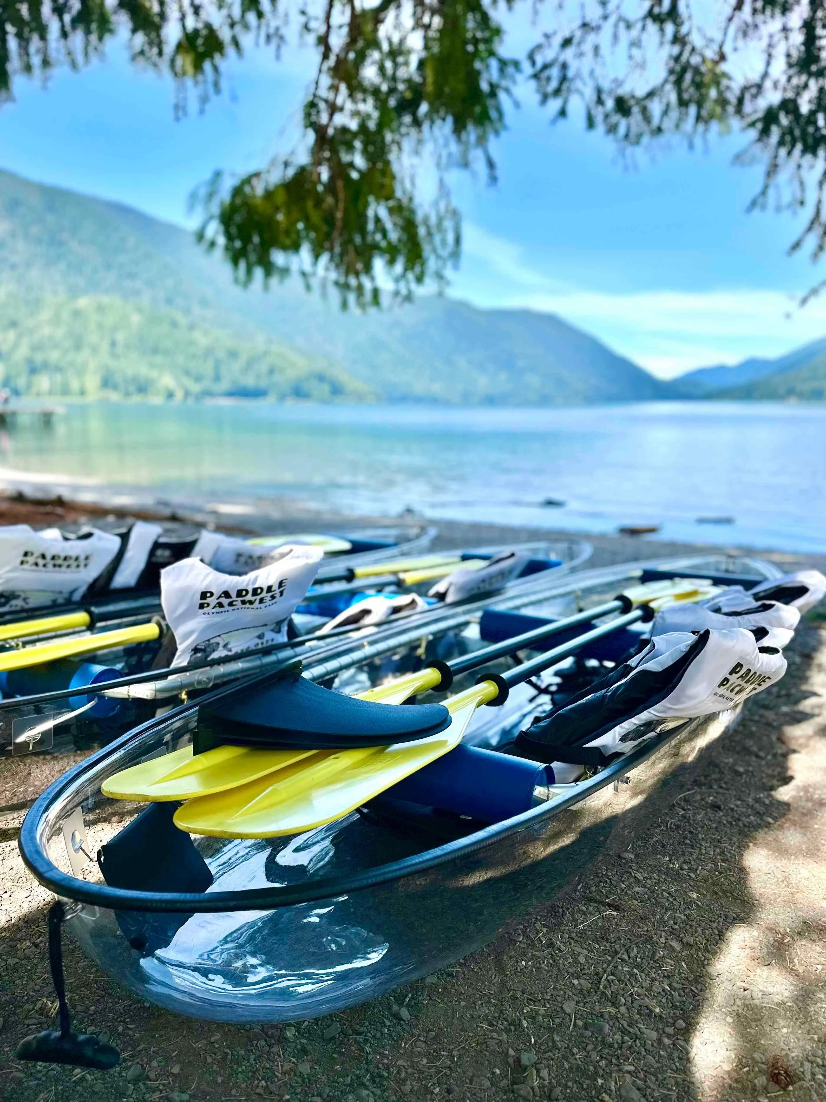 Paddle Pacwest Tandem Clear Canoe