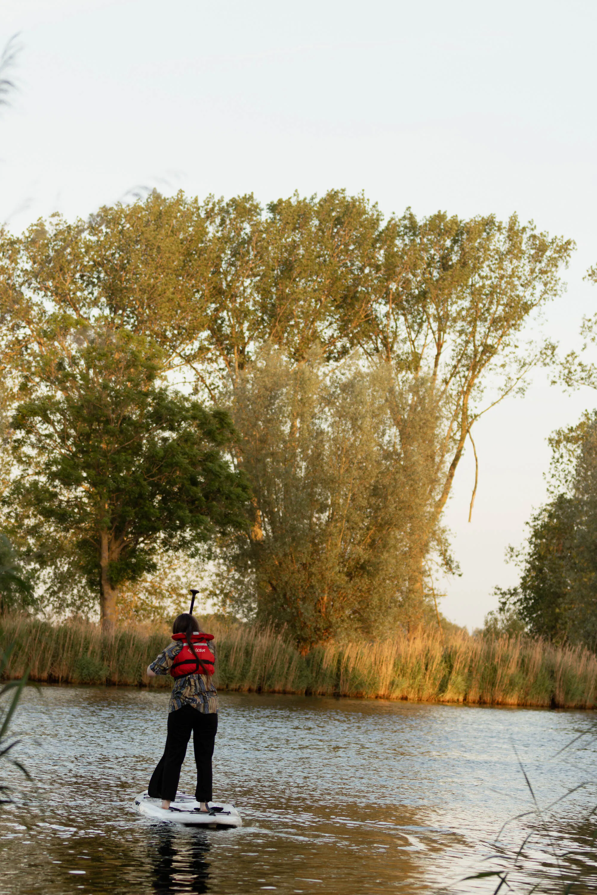 Sup op de wijde Aa in Zwolle