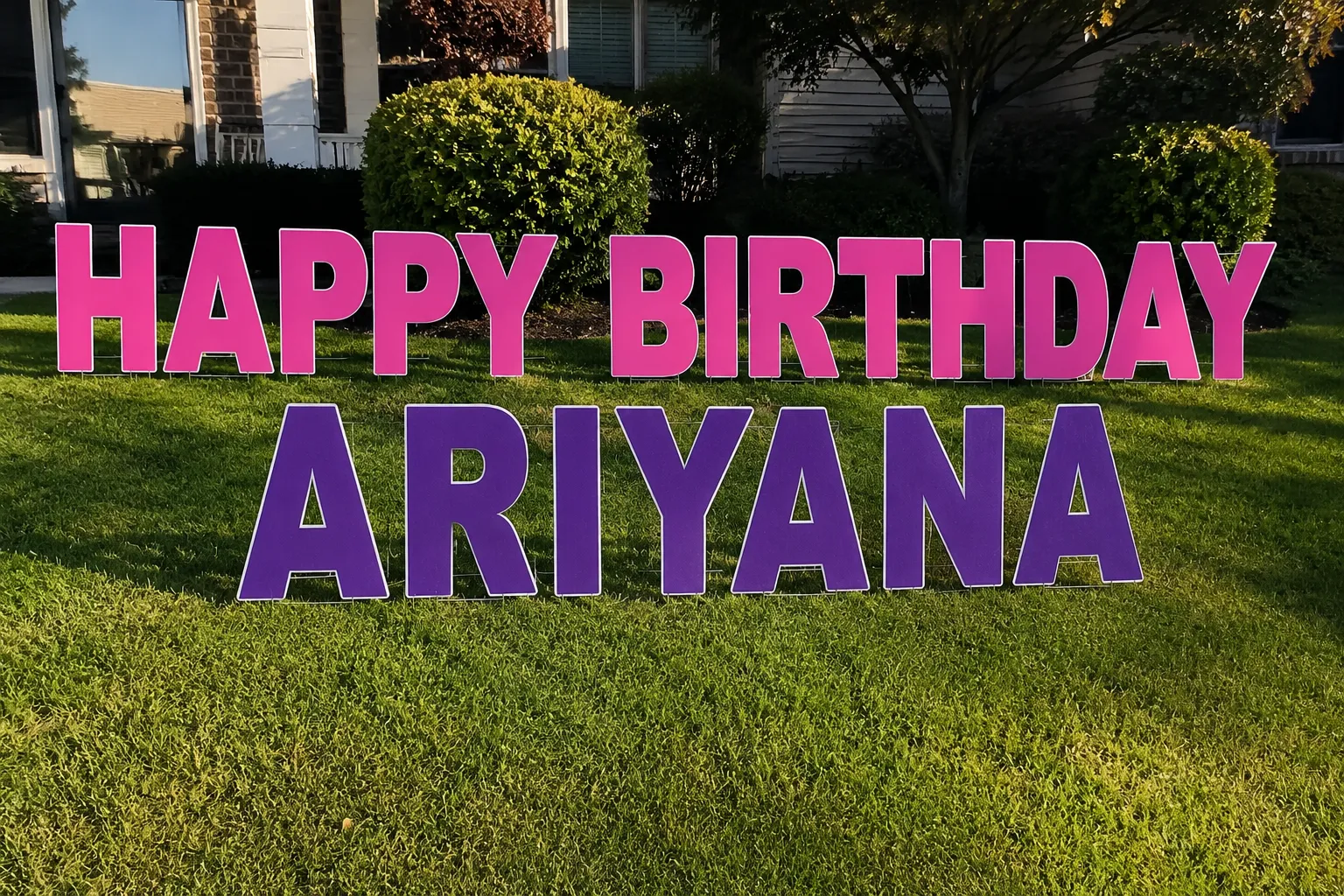 Basic Yard Cardz 
