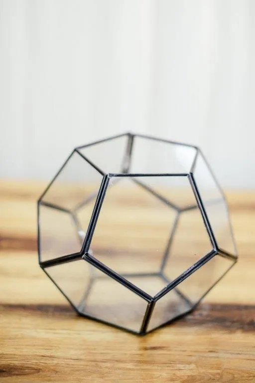 Bl038 Large Black Geo Flowerhouse