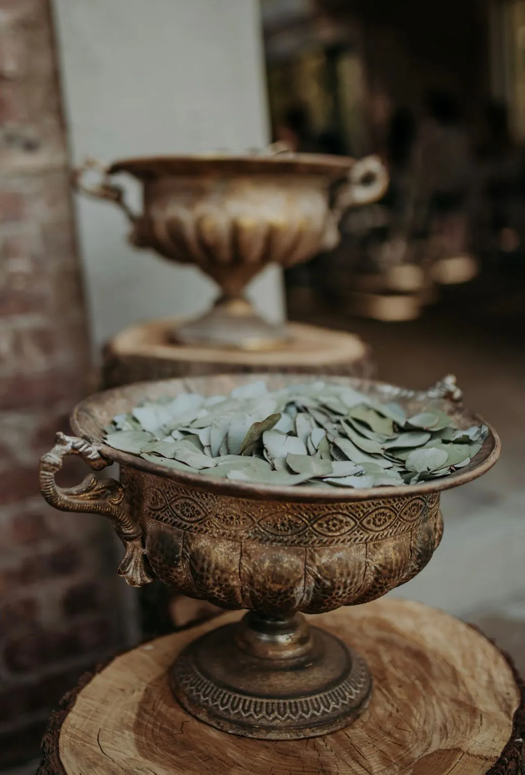 Go048 Brushed Gold Holder Large