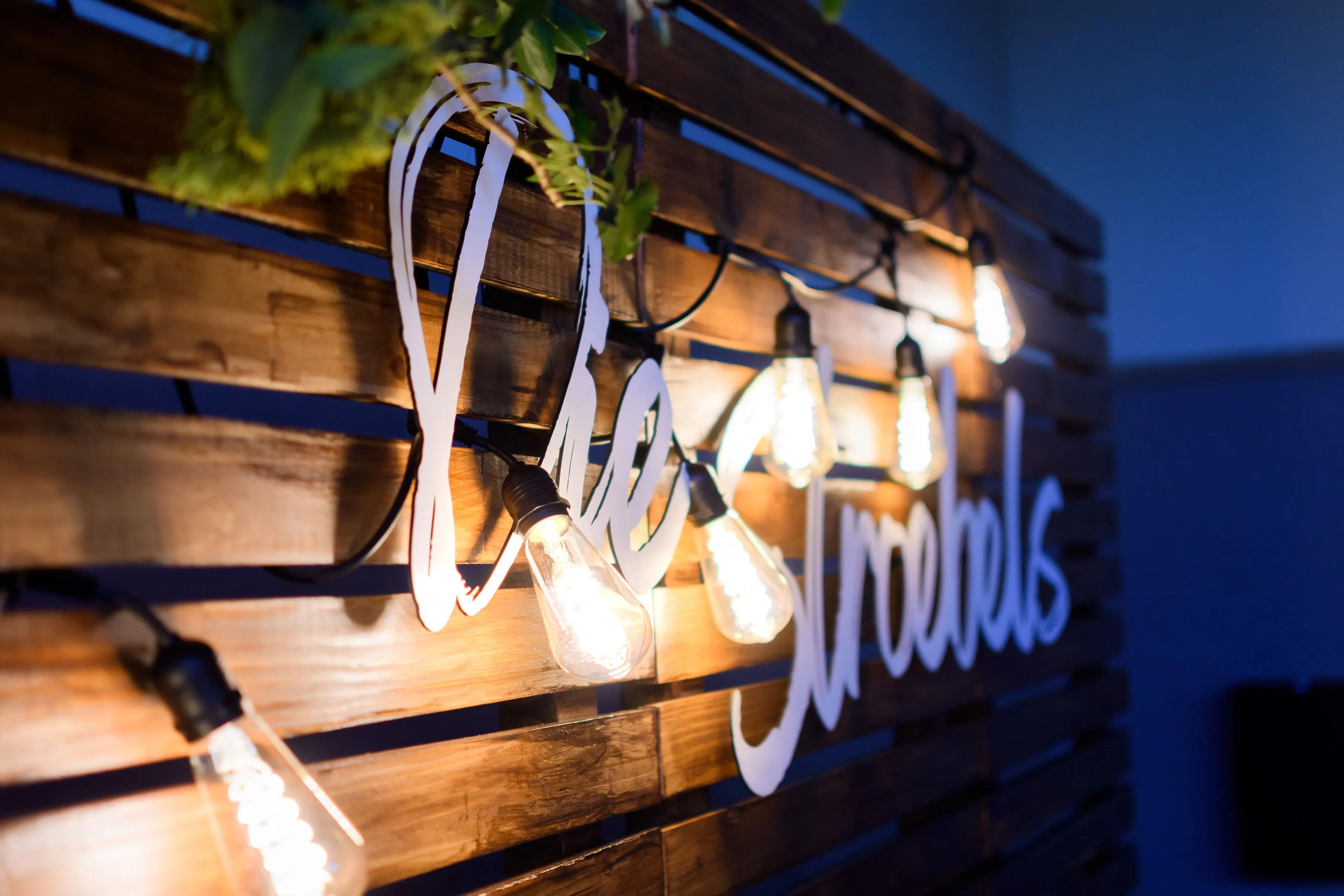 Ms004 10m Festoon Bulb Lights