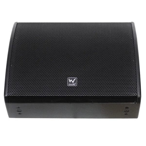 SM12 Stage Monitor Speaker