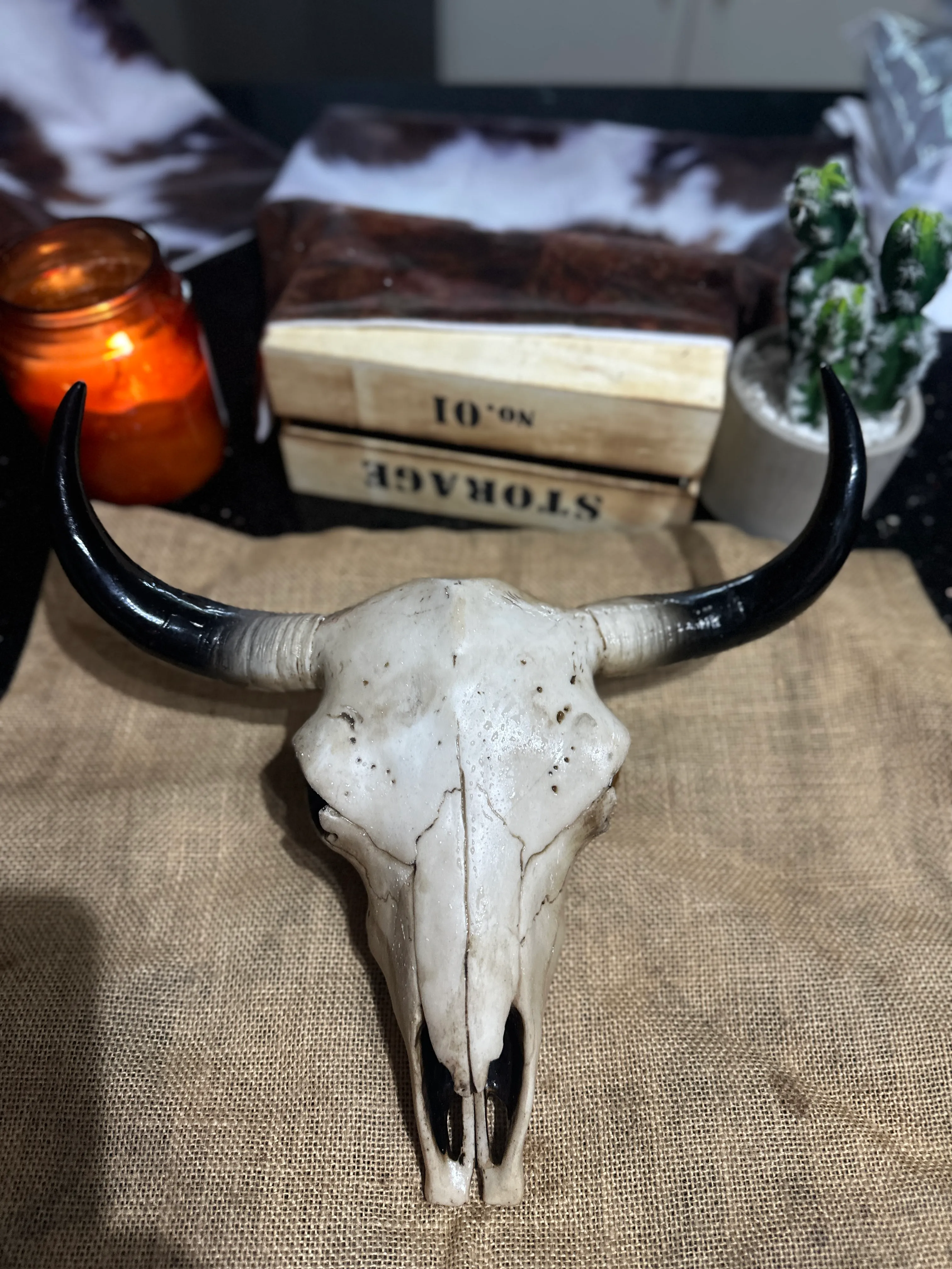 Cow/ Bull Resin Cow Skull - Meduim 
