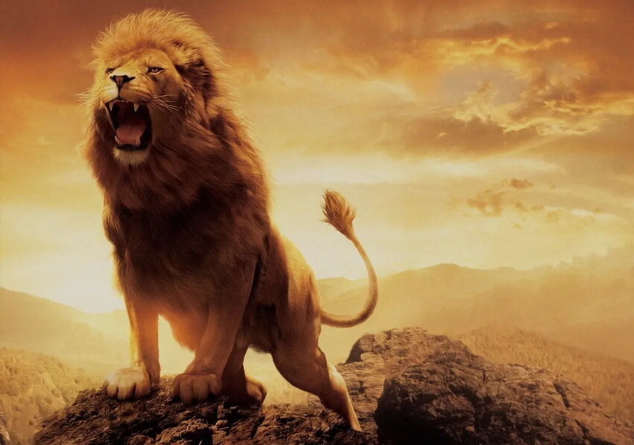 Roaring Lion Photo Backdrop 