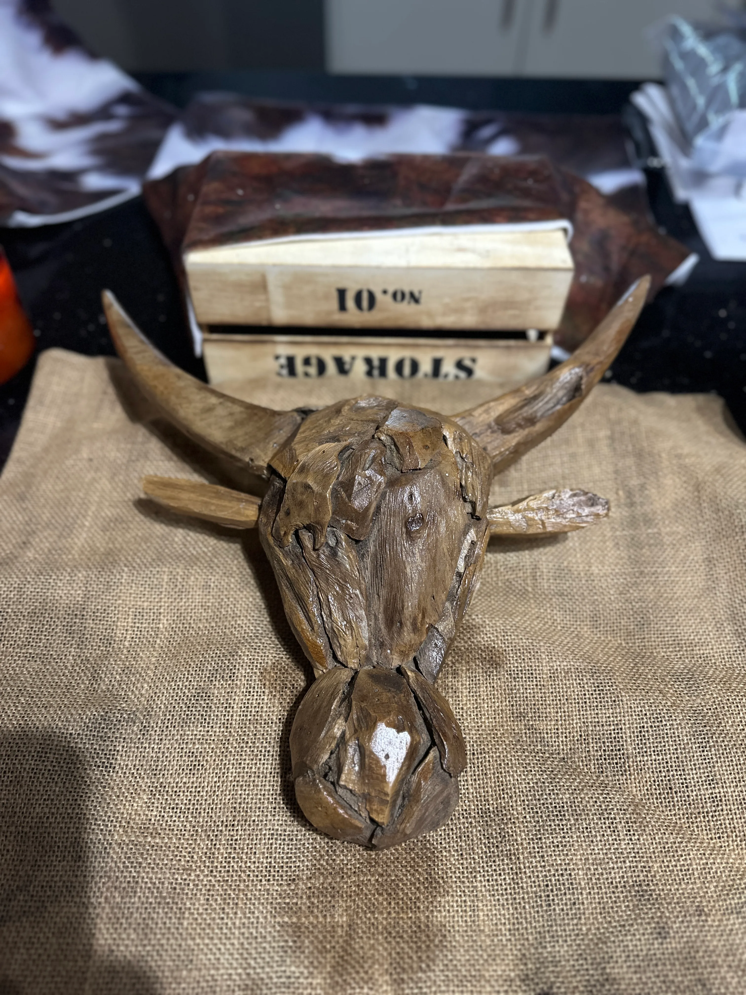 Driftwood Bulls Head/ Skull