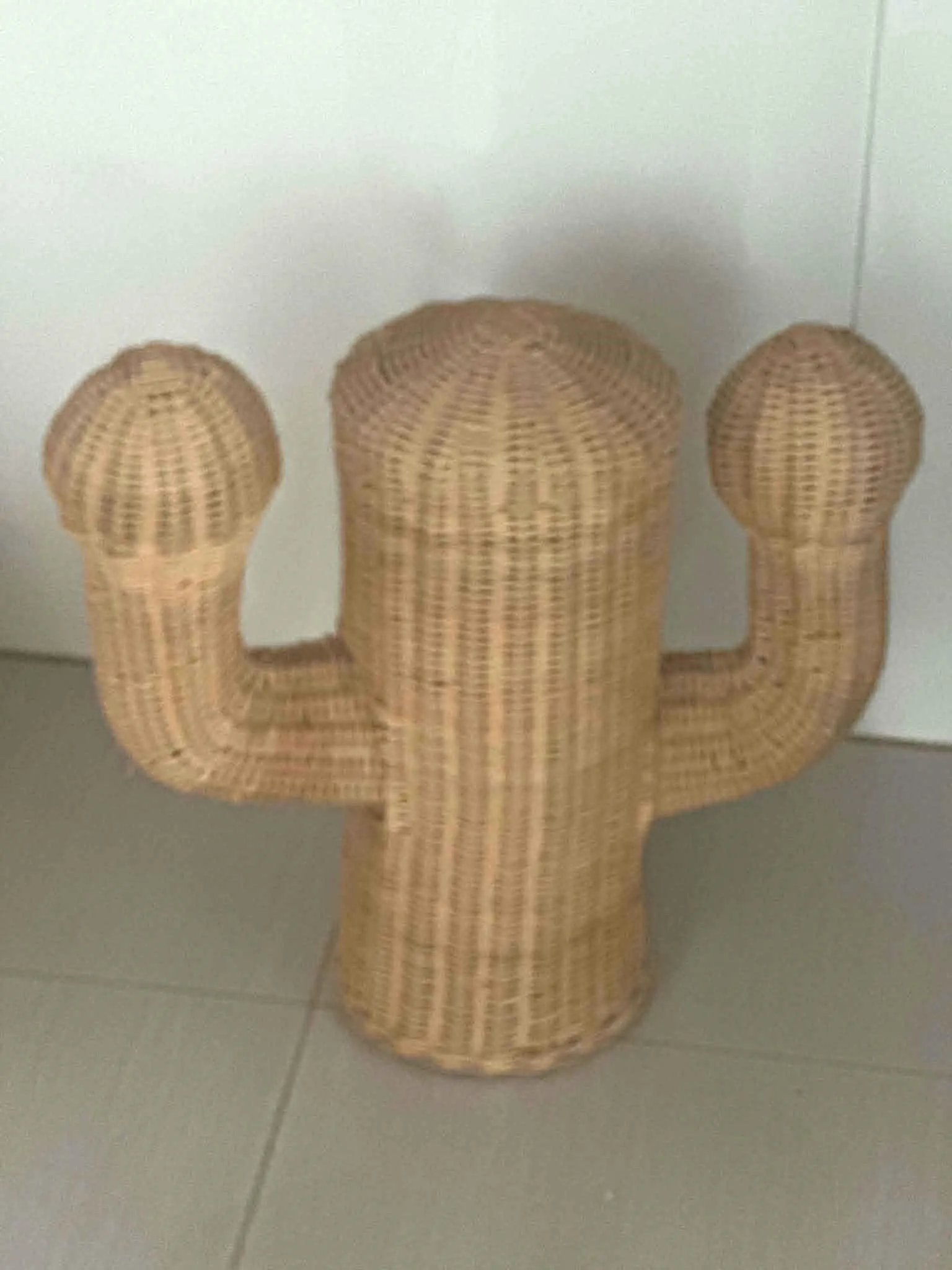 Wicker Cactus Decor -  Perfect for Wstern, Country & Wild West