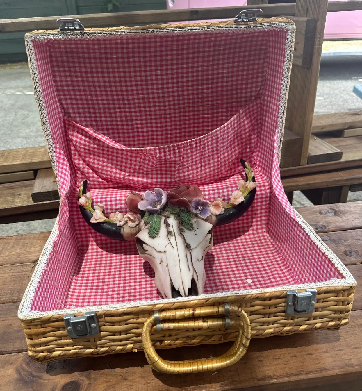 Cane basket Case