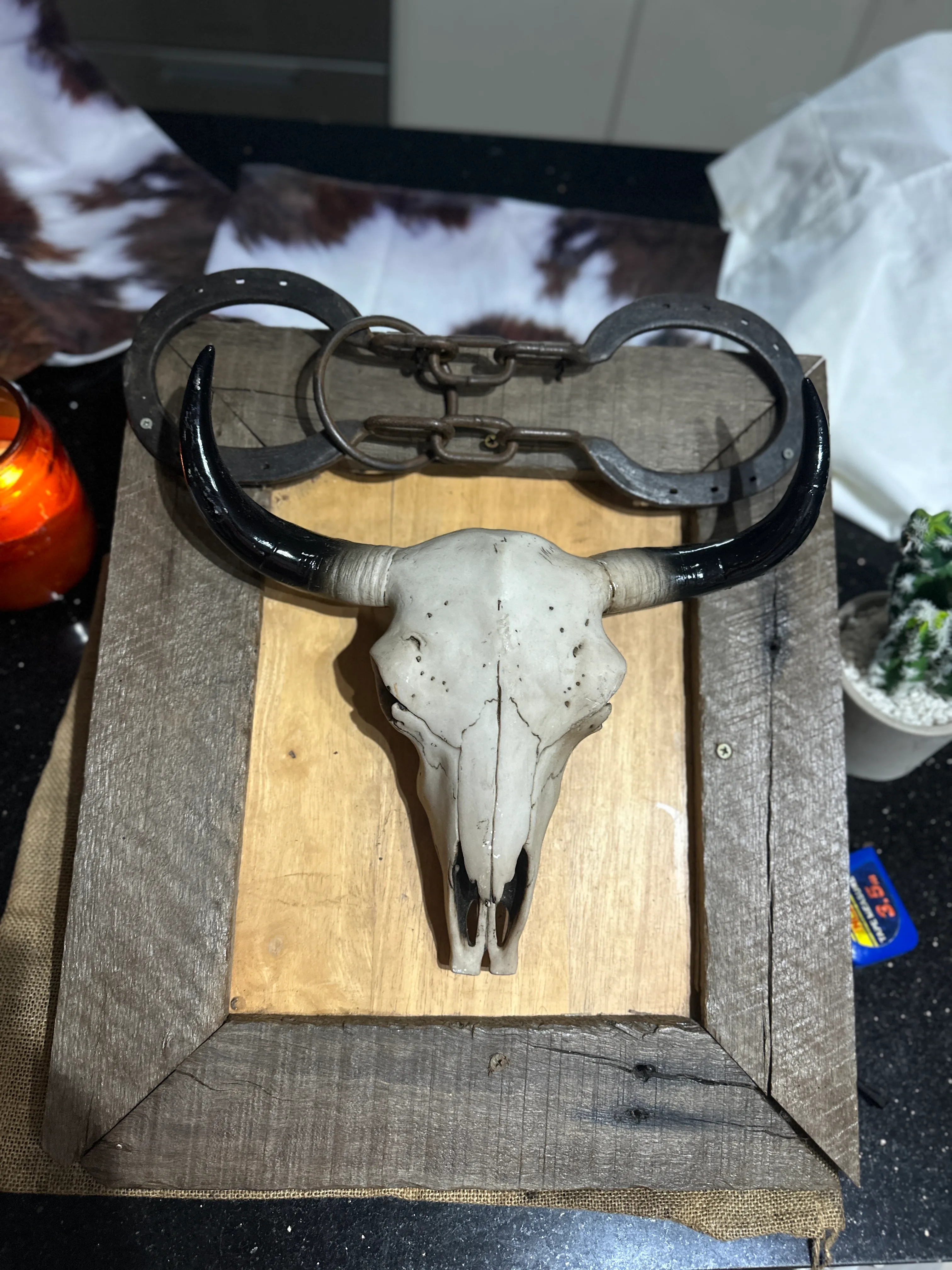 Cow Skull Faux - Mounted on a Board - Meduim 